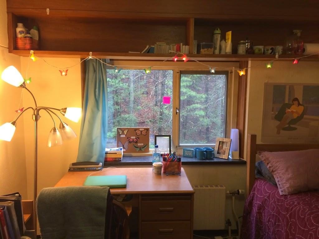 Dorm Decorating on a Budget - College Compass