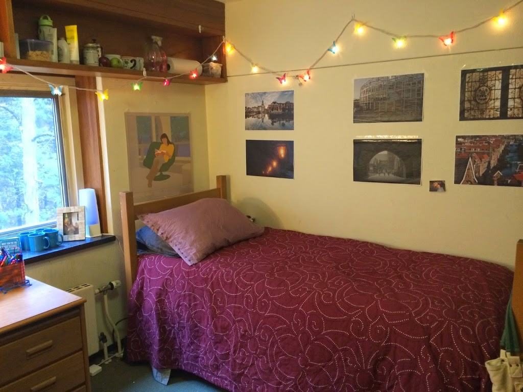 Dorm Decorating on a Budget - College Compass